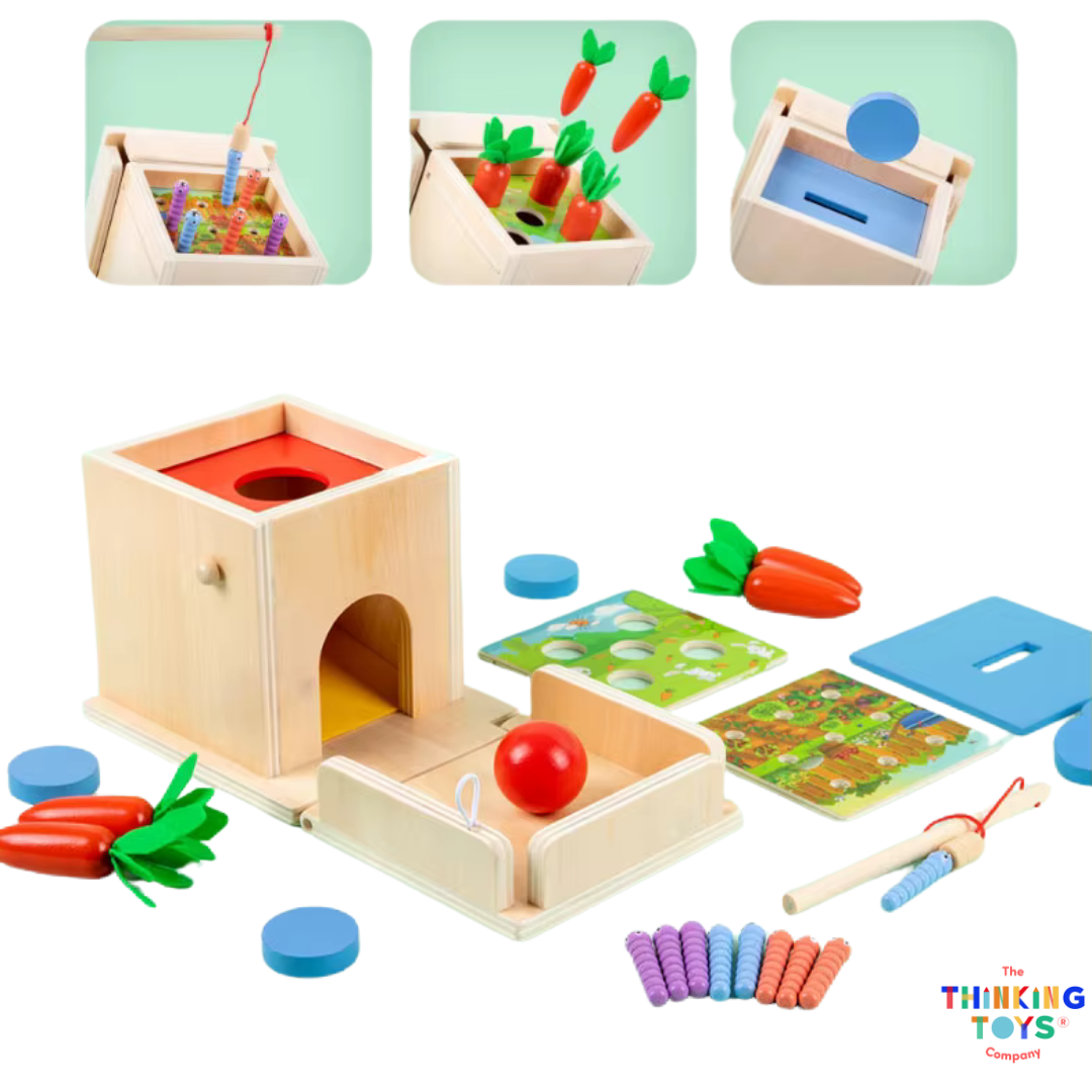Woodland 4 in 1 Intelligence Box