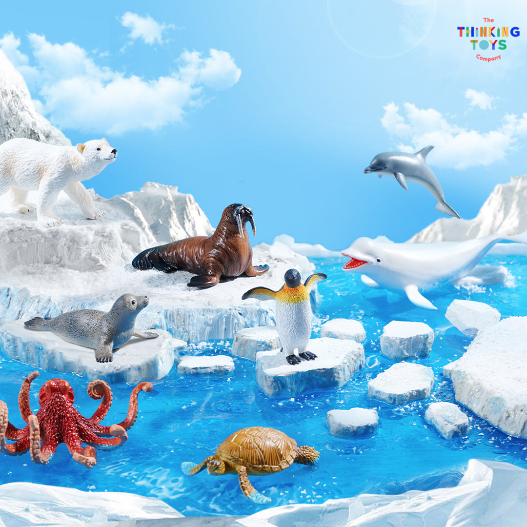 AT003, MIDEER Realistic Marine Animal Toy Set, The MIDEER Realistic Marine Animal Toy Set helps kids explore the underwater world with detailed figurines. Great for pretend play, storytelling, and early science learning.