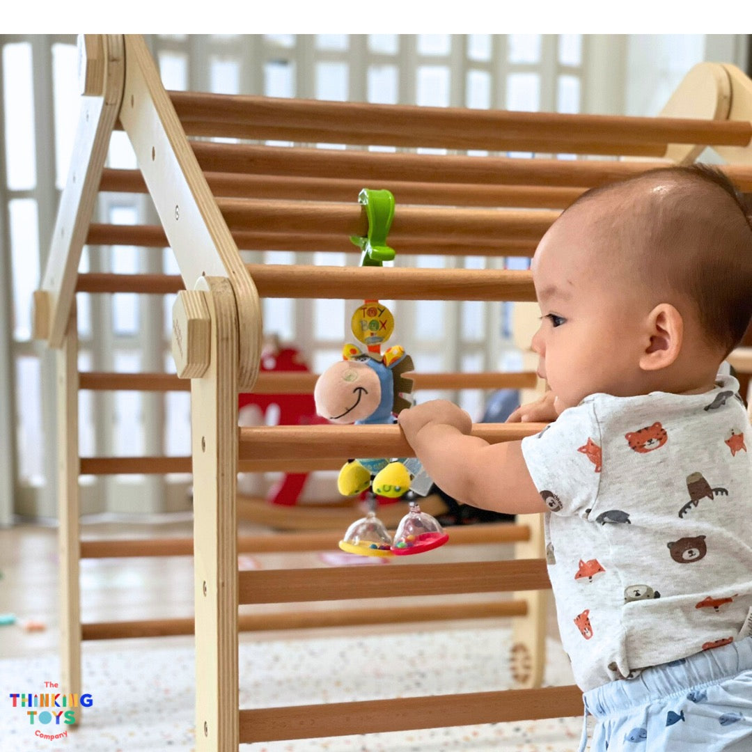 MPG001, HAPPYFEET 8 in 1 Wooden Pickler Triangle Climber, Builds strength, balance, and motor skills through adventurous climbing and sliding activities at home.