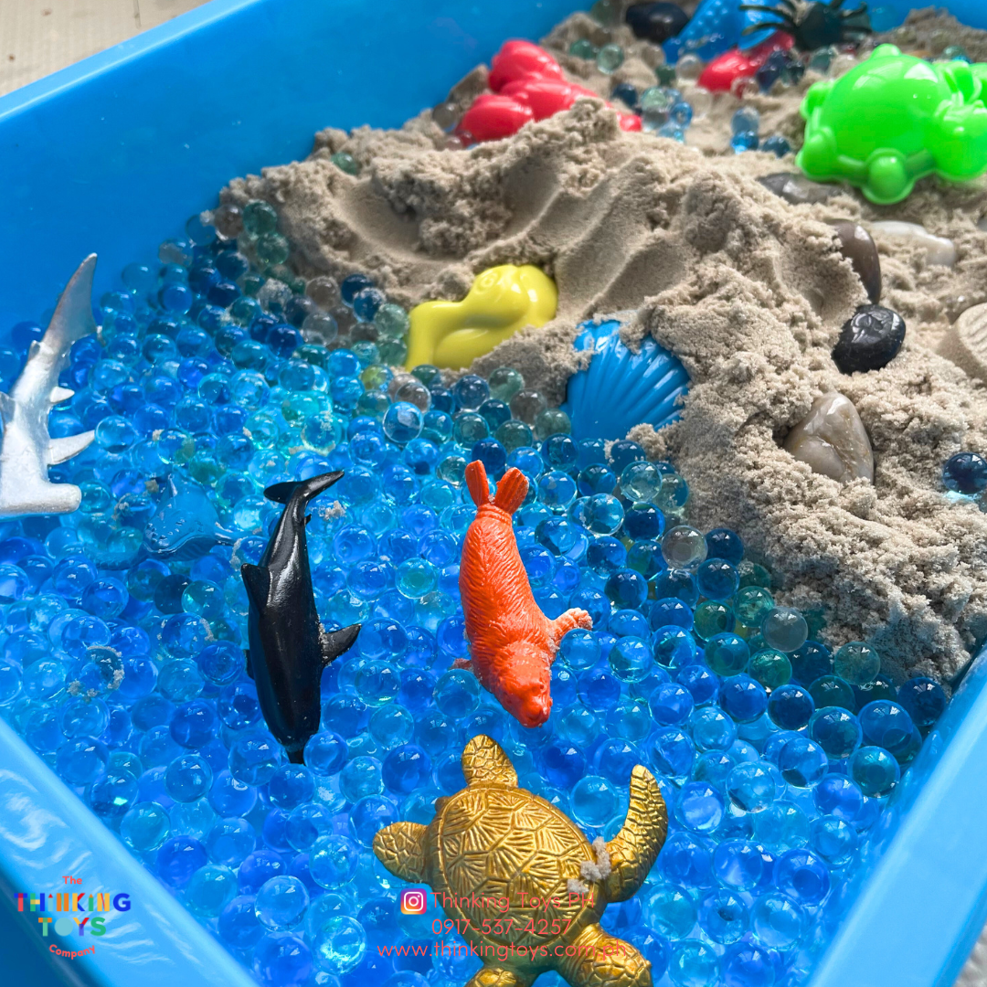 SK001, Marine Life Kinetic Sand Box, Enhances creativity and focus through tactile exploration and role play with sand.