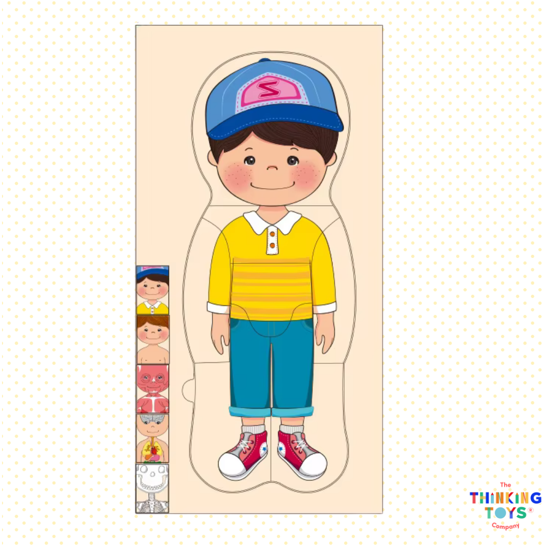 Montessory Body Structure Jigsaw Puzzle