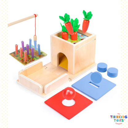 Woodland 4 in 1 Intelligence Box