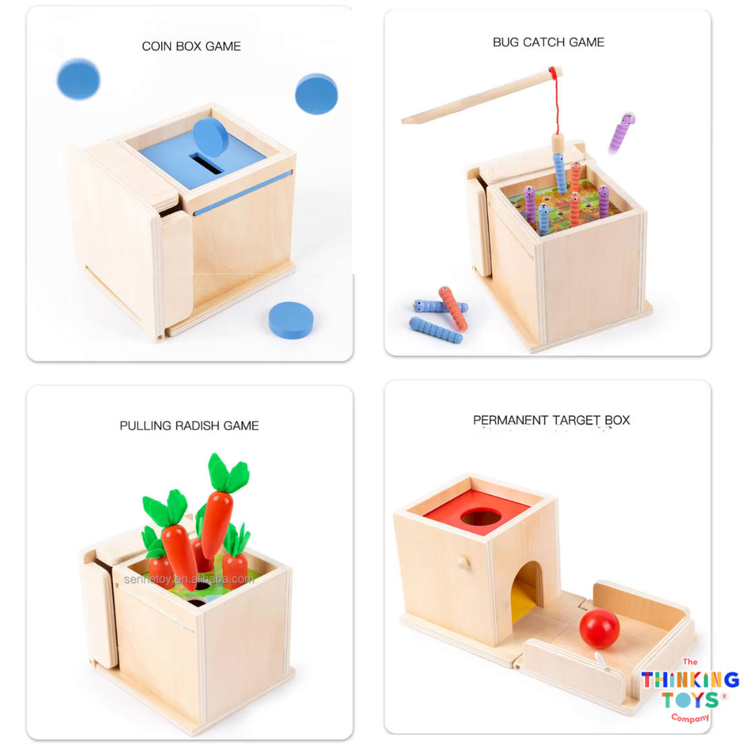 Woodland 4 in 1 Intelligence Box