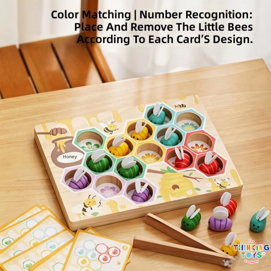 Harper Color Sorting Set