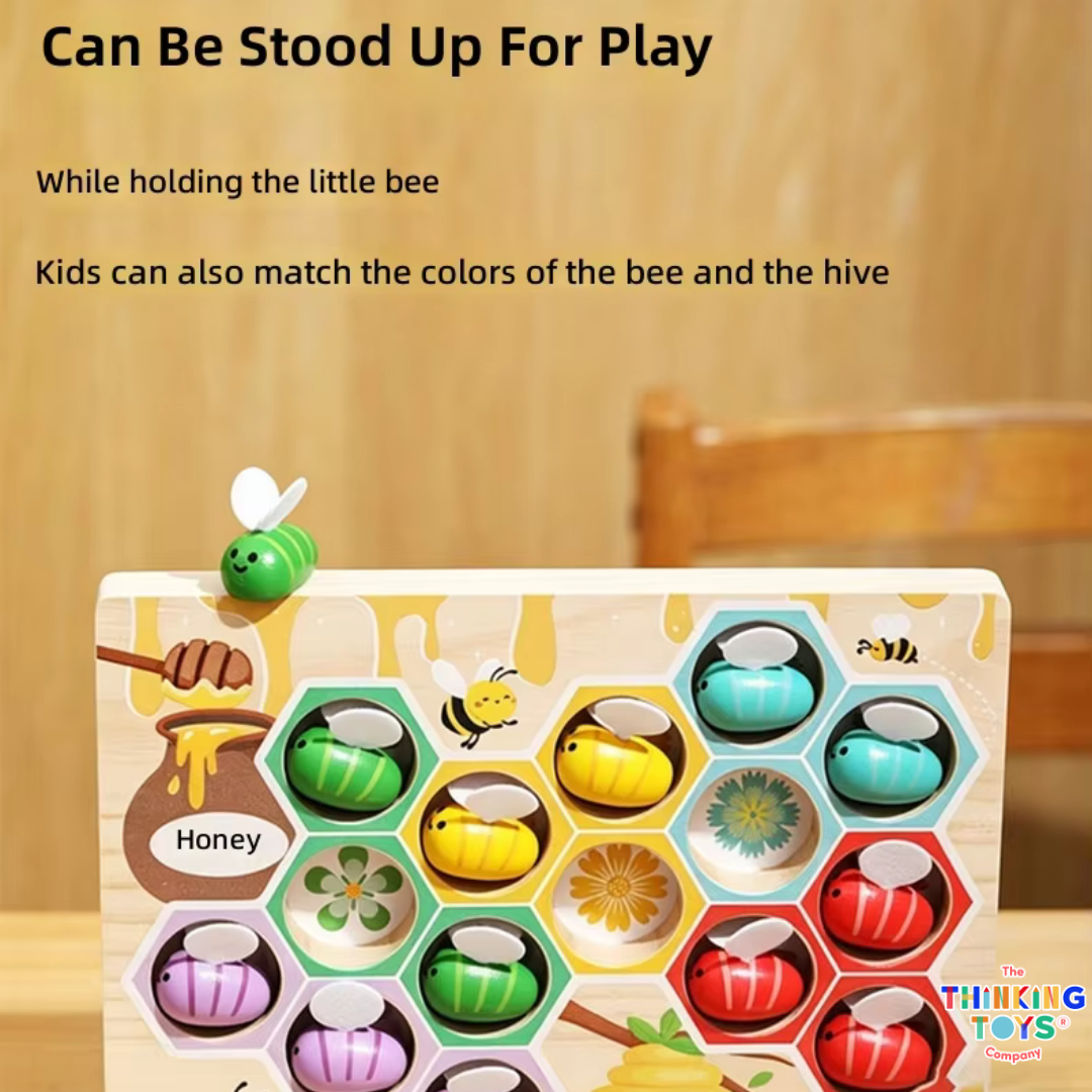 Harper Color Sorting Set