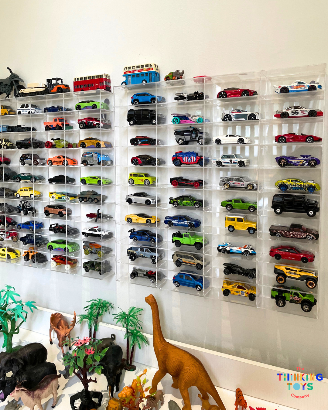 TOMICA & HOT WHEELS 40-Slot Toy Car Organizer