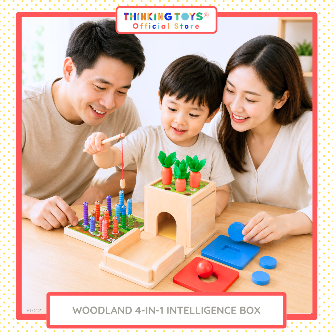 Woodland 4 in 1 Intelligence Box