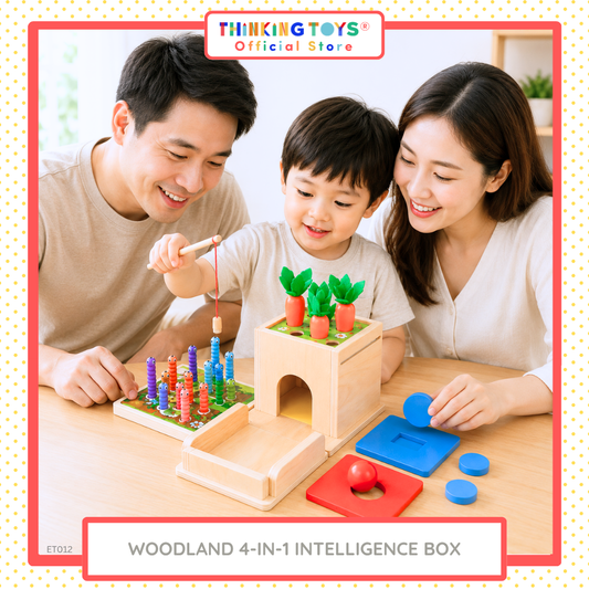 Woodland 4 in 1 Intelligence Box