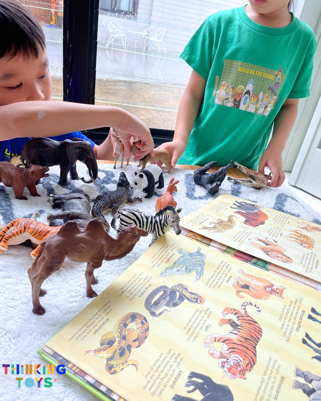 MIDEER Realistic Animal Toy Set