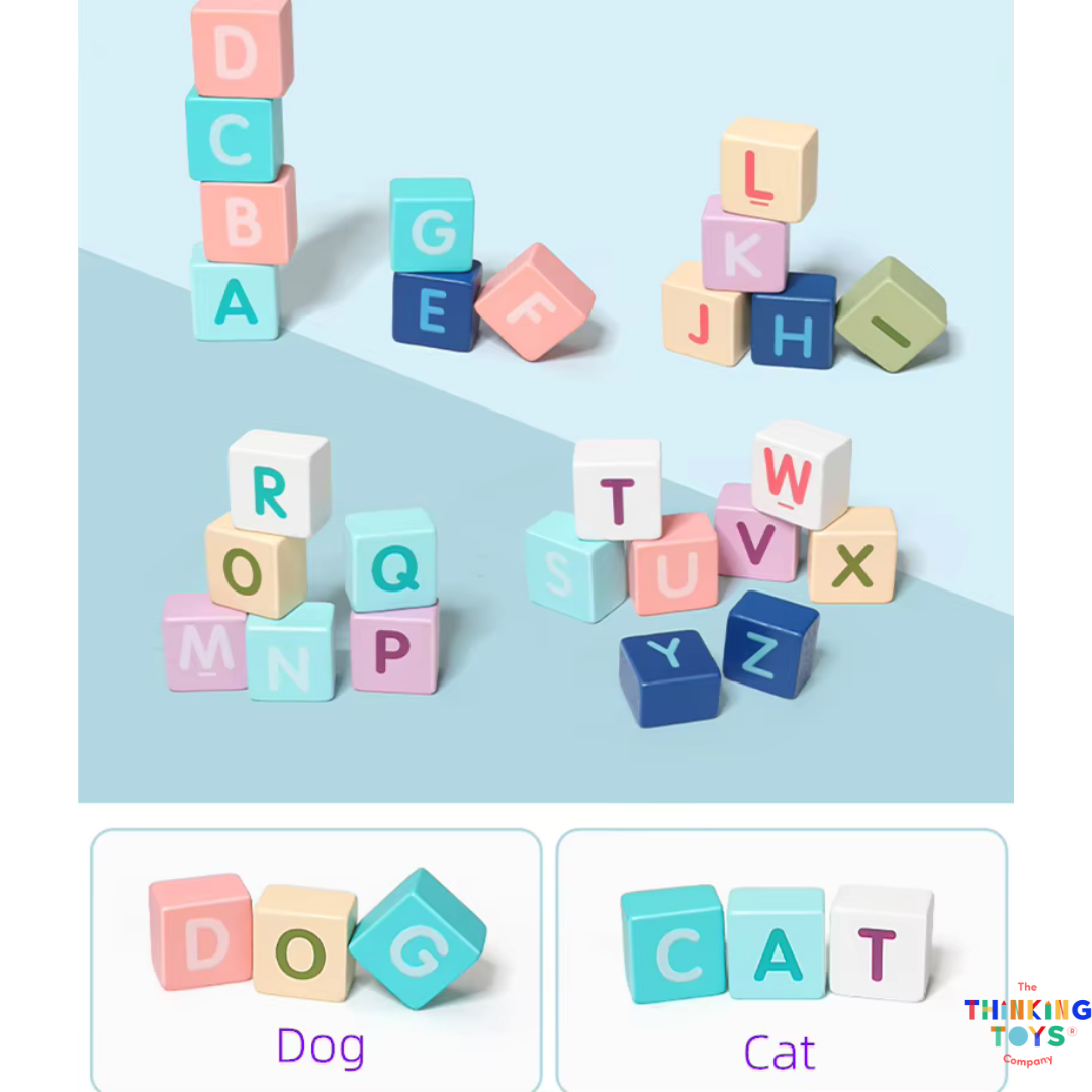 Noah Build & Play City
