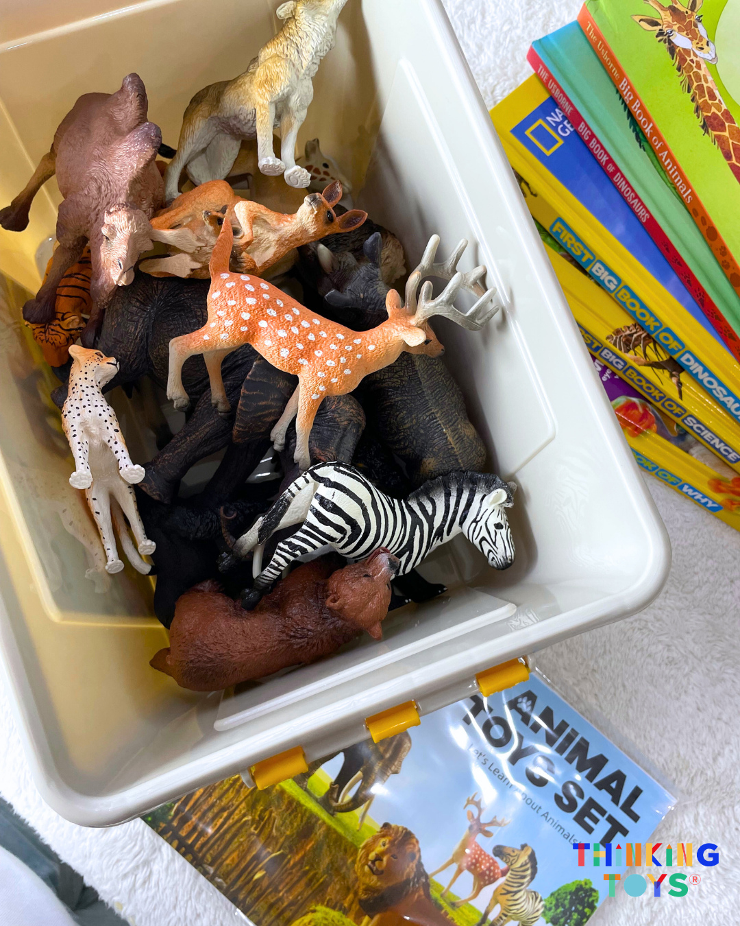 MIDEER Realistic Animal Toy Set