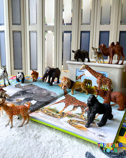 MIDEER Realistic Animal Toy Set