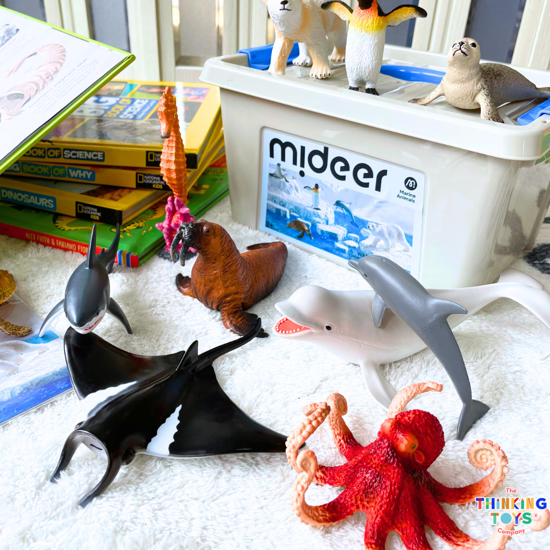 MIDEER Realistic Marine Animal Toy Set