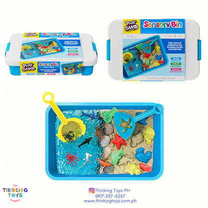 Marine Life Kinetic Sand Box