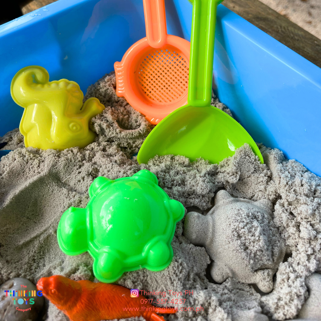 Marine Life Kinetic Sand Box