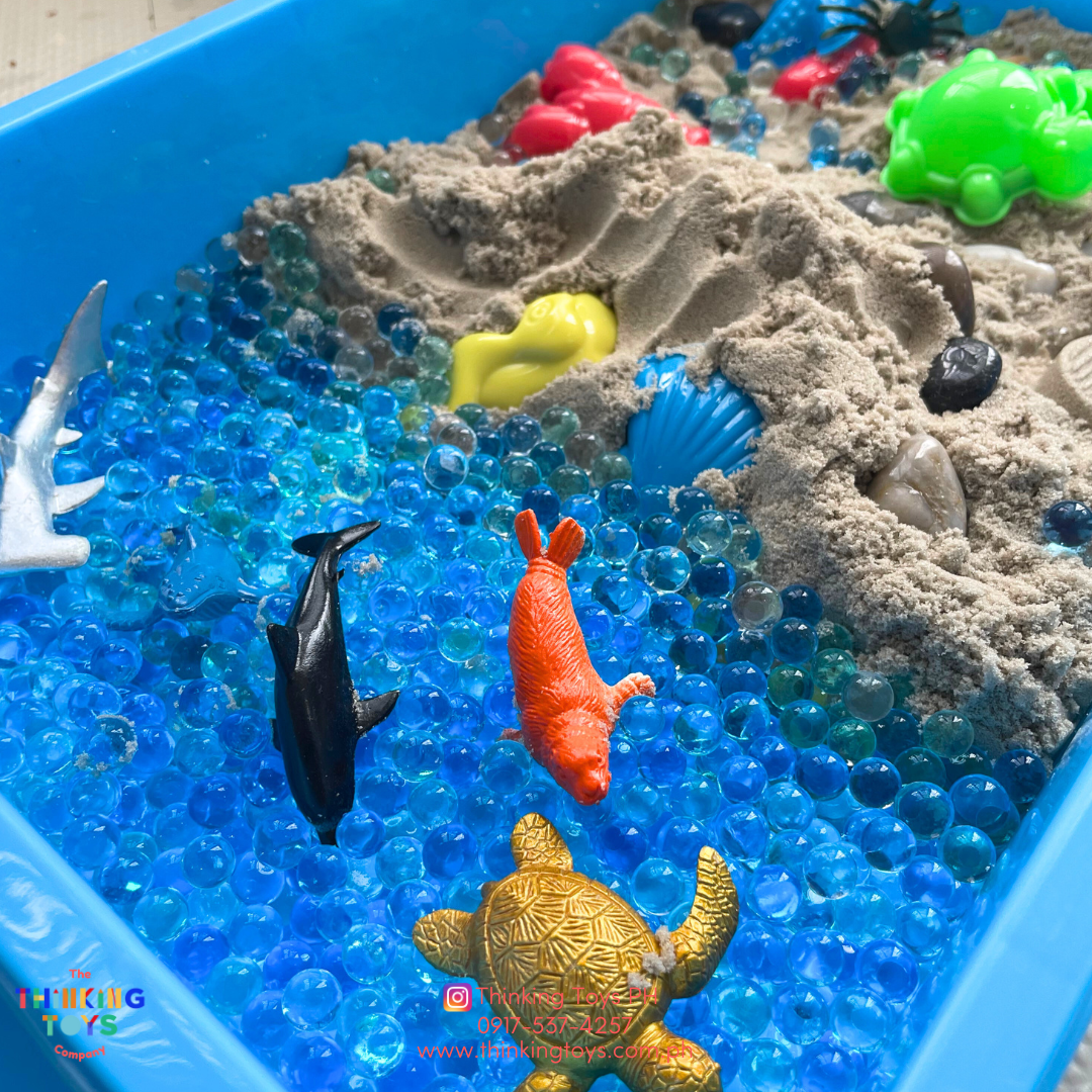 Marine Life Kinetic Sand Box